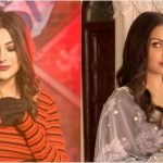 BIG BOSS 13 UPDATES | Himanshi Khurana Supports Shehnaz Gill When Labeled Jealous