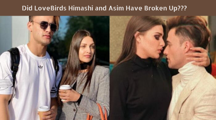 Himanshi and Asim