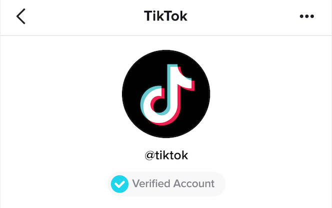 TikTok Blue Badge: How To Get Verified On Tiktok?