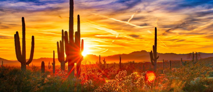 Top 10 places for you to visit in Arizona
