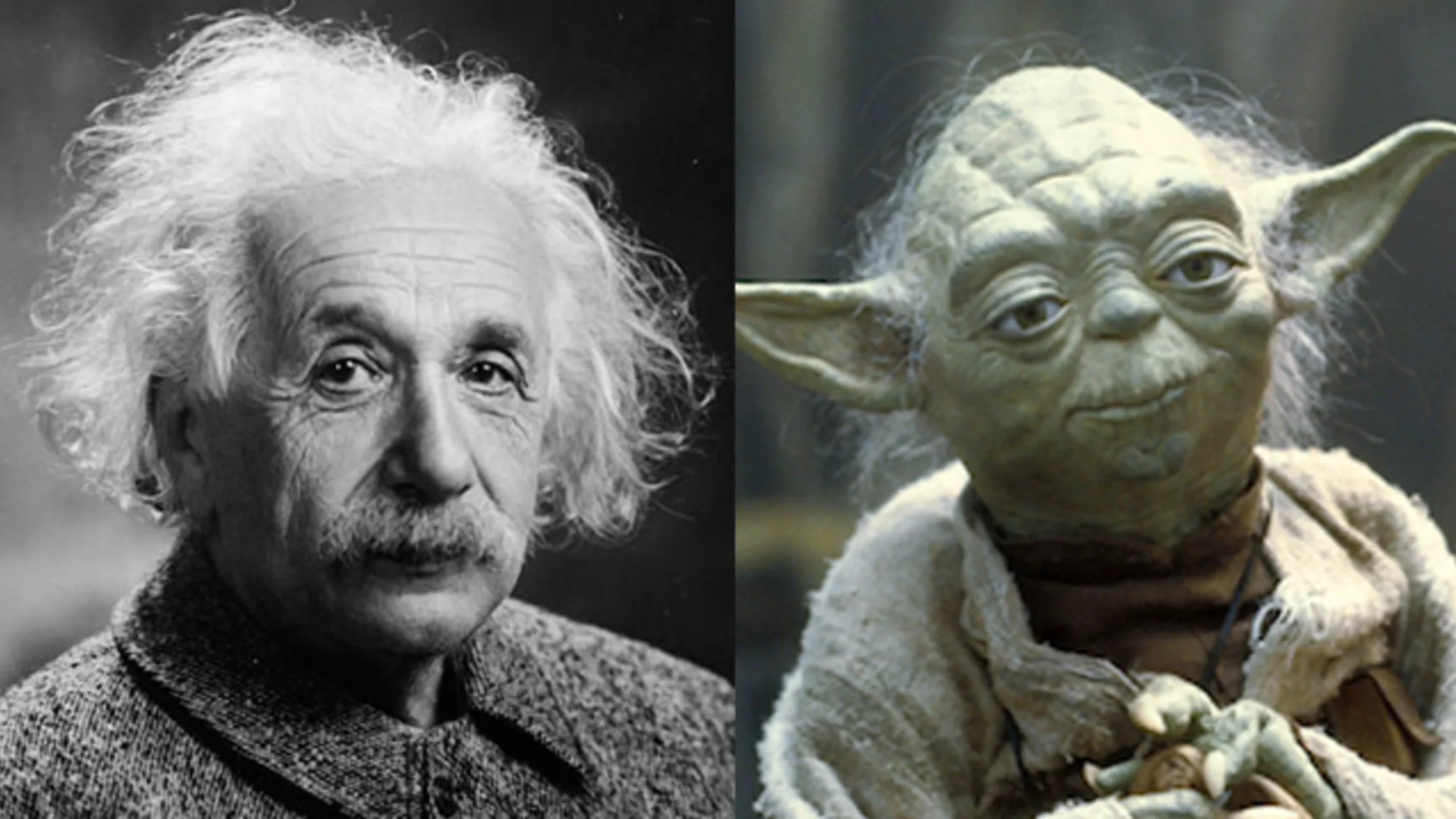 Yoda: His Relation to Albert Einstein