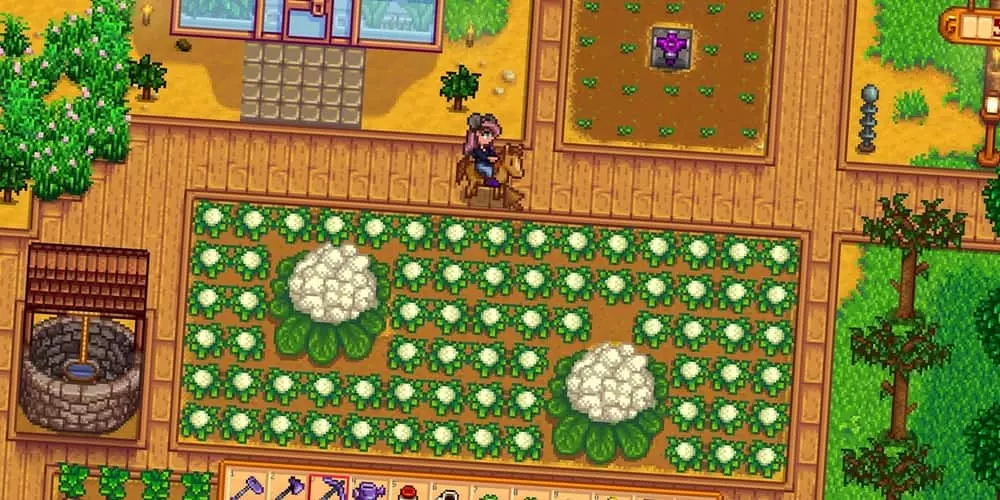 Best Stardew Valley Crops 11 That Grow Easily In Diffe Seasons - Strawberry Home Decor Stardew Valley