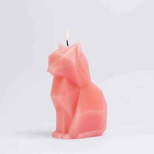 cat skeleton candle: Halloween Gifts 
