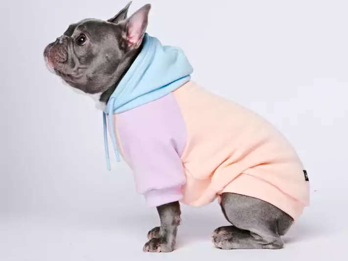Cool Hooddies for Dogs 