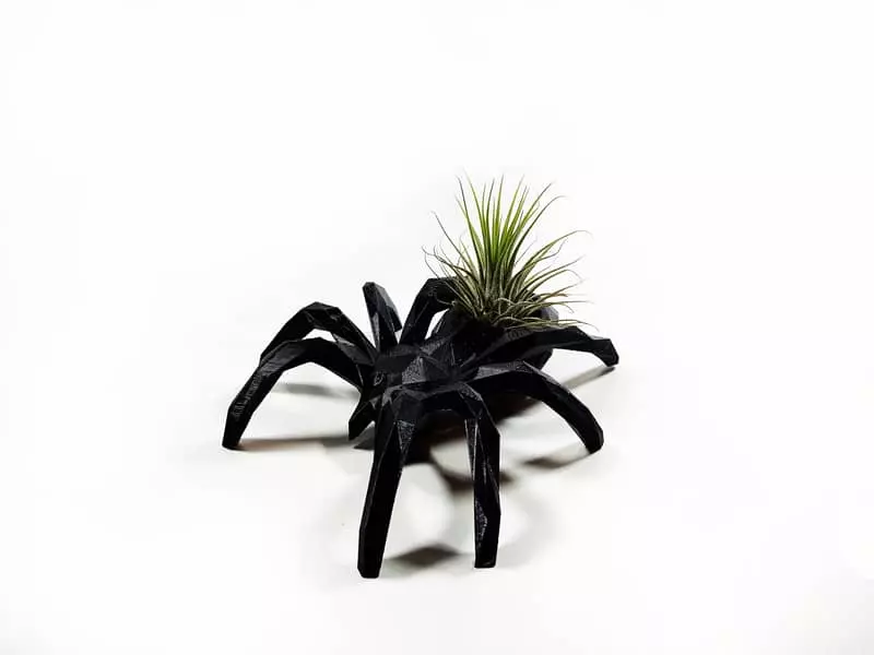 spider plant holder: Halloween Gifts 