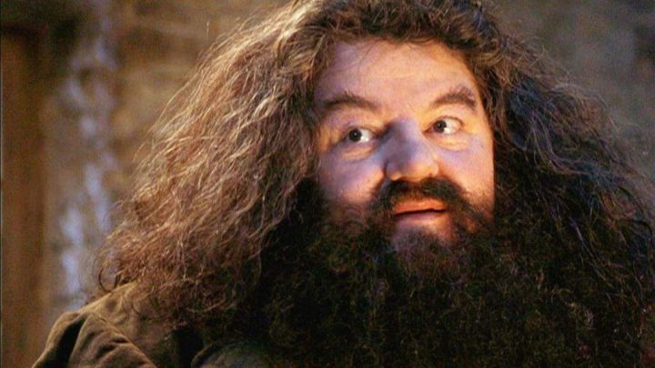 #4 Rubeus Hagrid (The Half Giant )
