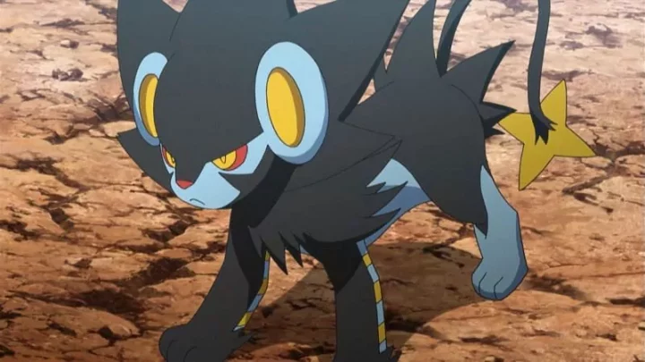 #7 Luxray (X-Ray Vision)