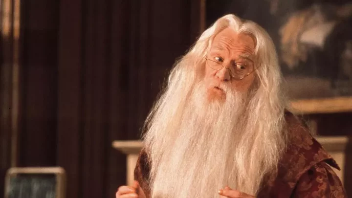 #9 Albus Dumbledore (The Headmaster) 