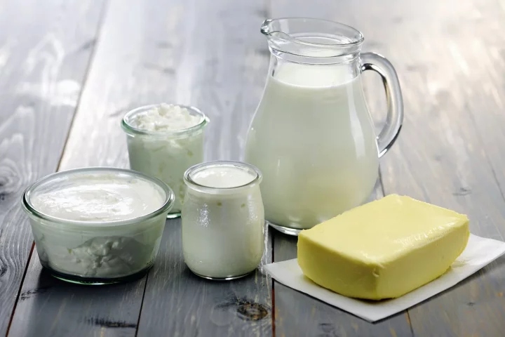Dairy – Cheese, Milk, & Yoghurt