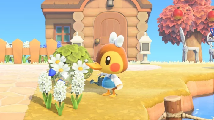 11 Cute Villagers In Animal Crossing