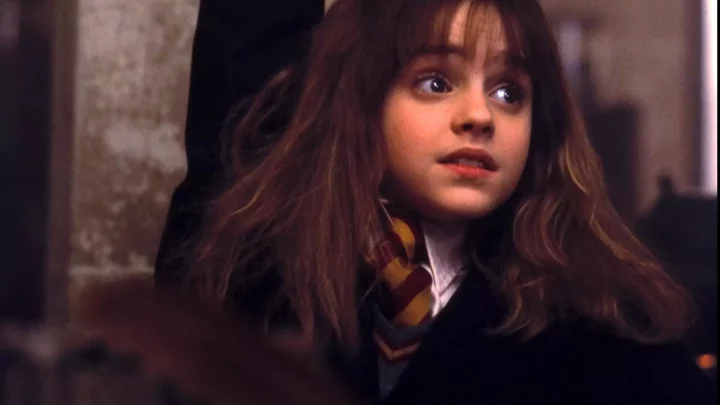 #2 Hermoine Granger ( Brainy And Canny)