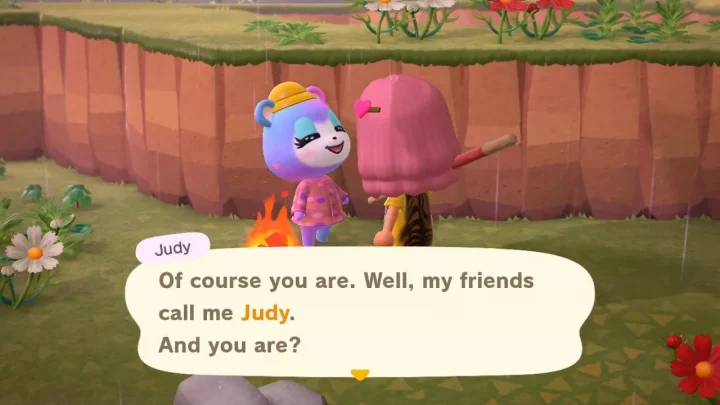 #5 Judy The Cub