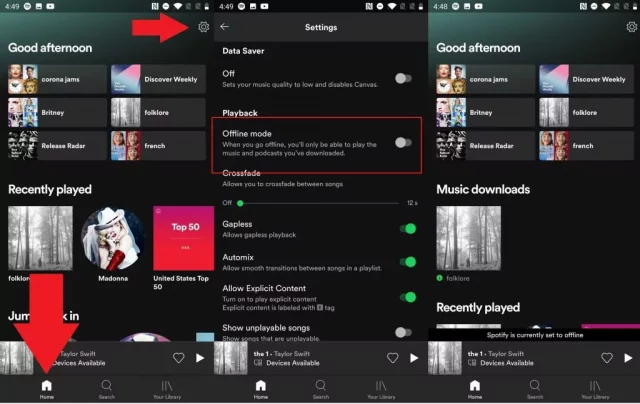 Method 4: How To Activate Offline Mode In Spotify? 