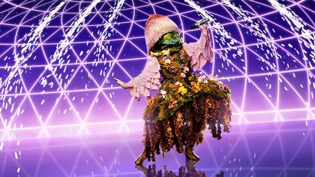 Mushroom Masked Singer | Revealing The Contestant’s True Identity!