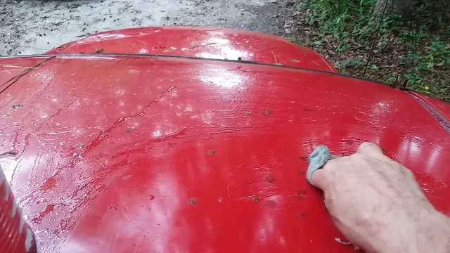 How To Remove Tree Sap From Car