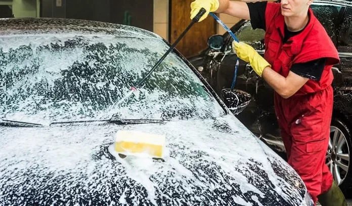 Wondering How To Remove Tree Sap From Car? Have An Insight Into It!