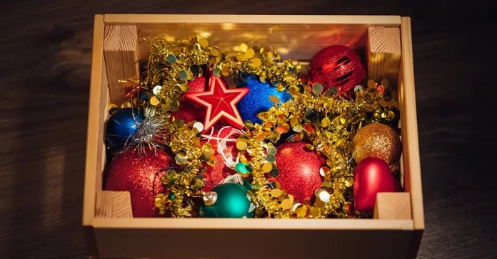 8 Best Ornament Storage Boxes | Full Of Dividers, Padding & Space!!