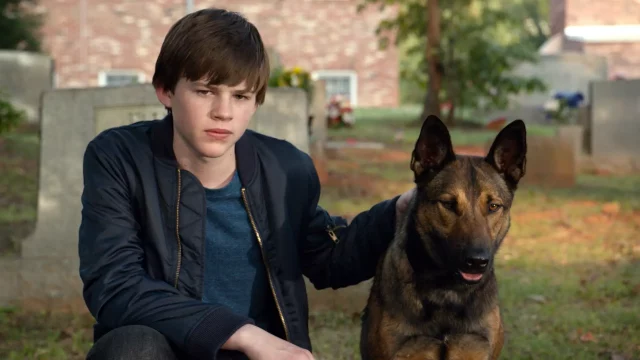 8 Emotional Movies Like Dog | Perfect Watch For Dog Lovers!