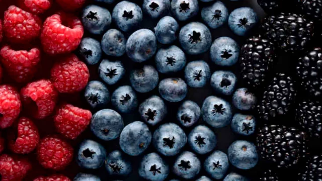 Snacking While Studying: 18 Foods That Stimulate Brain Function
