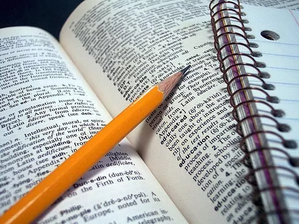 How To Write The Opening Line Of An Essay? Some Amazing Tips!!!