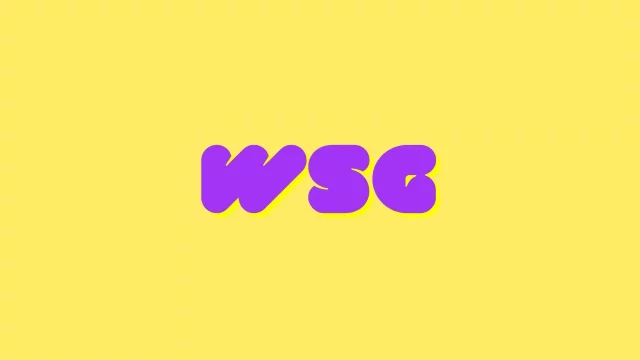 What Does WSG Mean On Snapchat? The Real Meaning Of The Trending Slang! 