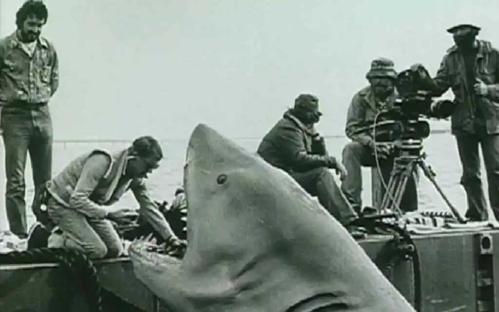 Where To Watch Jaws For Free Online | Shark Terror!