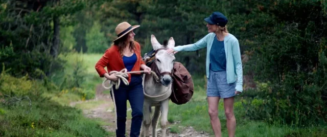 Where To Watch My Donkey My Lover And I For Free? A Sensational French Romantic-Comedy Movie!