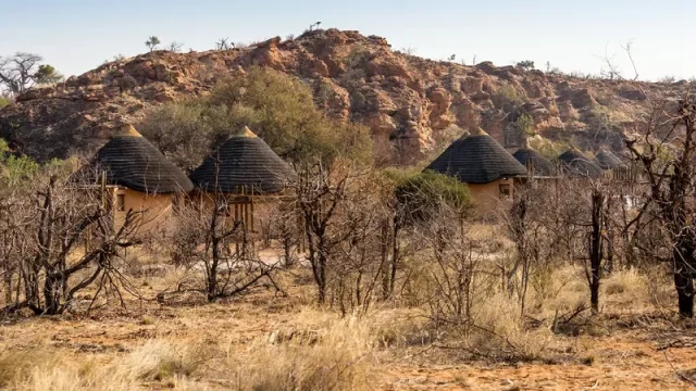 Where Was Beast Filmed? Go Through The Exotic Locations In South Africa!