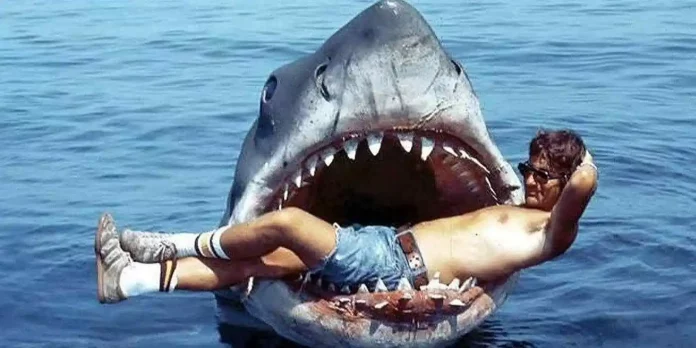 Where Was Jaws Filmed? The Shark Terror!
