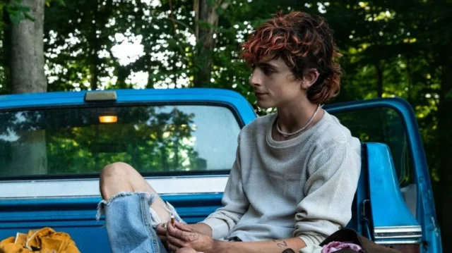 Where To Watch Bones And All For Free? The Latest Timothee Chalamet Film Is Streaming Here!