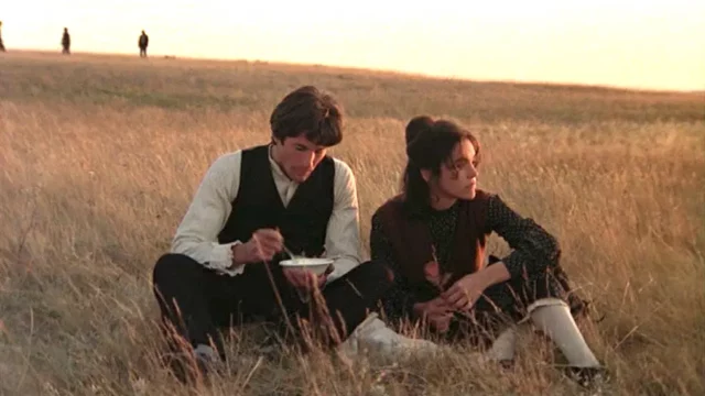 Where Was Days Of Heaven Filmed? Terrence Malick’s 1978 Masterpiece!