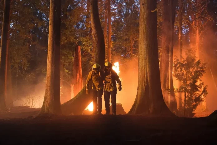 Where Was Fire Country Filmed? Witness The High Level Of Firefighting!