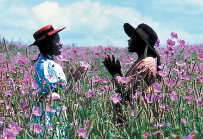 Where Was The Color Purple Filmed? Filming Locations Of A 1985 Epic Drama!