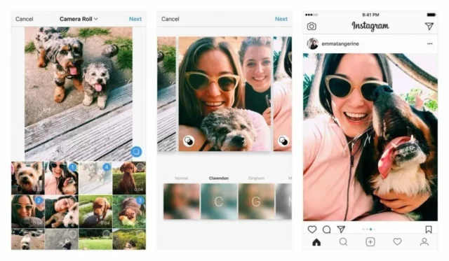 How To Post Full Size Landscape And Portrait Photos On Instagram? An Ultimate Guide For 2023!