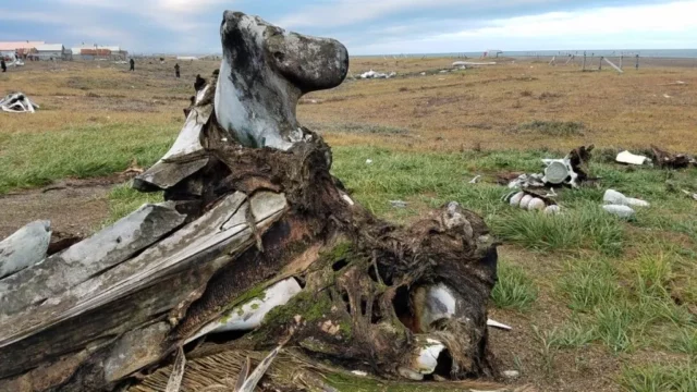 Where To Watch Boneyard Alaska Documentary For Free Online In 2023?