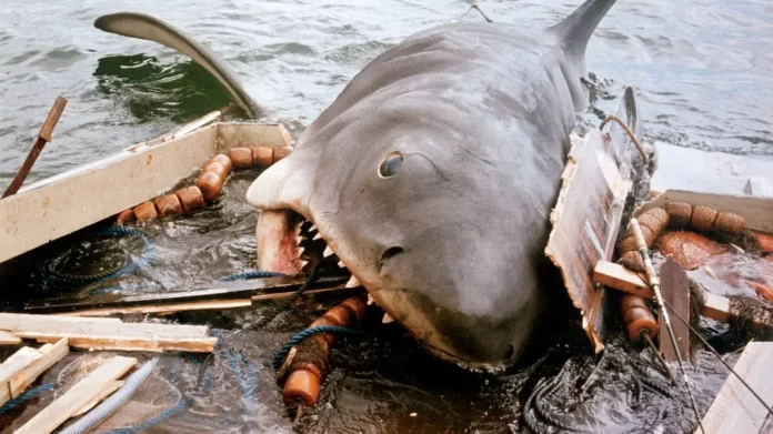 Where Was Jaws 2 Filmed? A Bone-Chilling Thriller From The Late ‘70s!!