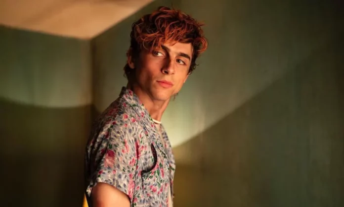 Where To Watch Bones And All For Free Online? The Latest Timothee Chalamet Film Is Streaming Here!