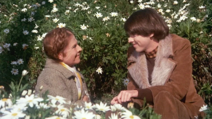 Where Was Harold And Maude Filmed? A Vintage Romantic Comedy Flick!!