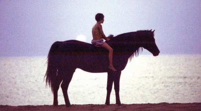 Where Was The Black Stallion Filmed? A Magnificent Family Drama Flick From 1979!!