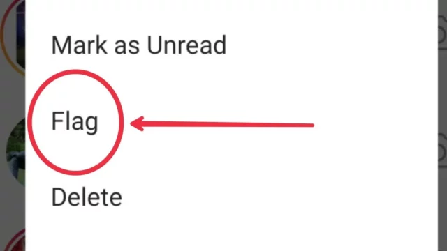 What Does The Flag Mean On Instagram DMs In 2023? Know It Here! 