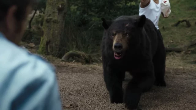 Where Was Cocaine Bear Filmed? Best Black-Comedy Flick Of 2023!!