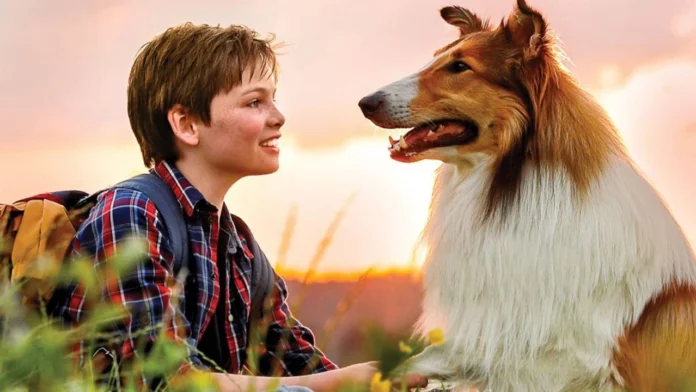 Where Was Lassie Come Home Filmed? An Interesting Adventure Drama!