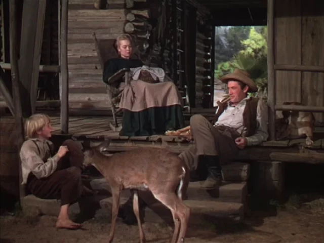 Where Was The Yearling Filmed? A Heart-Warming Western Flick!