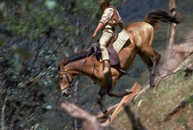 Where Was The Man From Snowy River Filmed? An Adventure Drama From 1982!!
