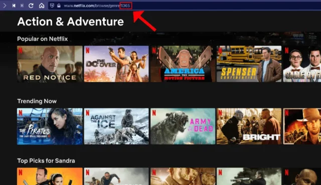 How To Use Category Codes On Netflix? The Latest Guide 2023!