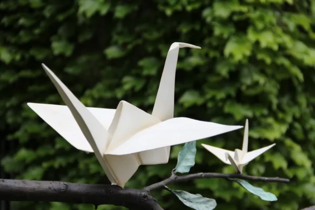 Where To Watch Origami In The Garden For Free Online? Barbara Bentree’s Phenomenal Docu-Feature!