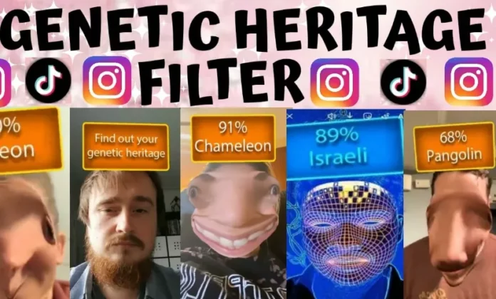 How To Get The Genetic Heritage Filter On Instagram In 2023? Know Here!