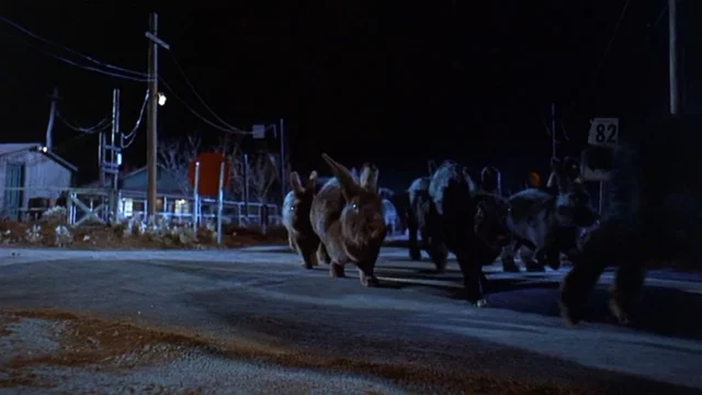 Where Was Night Of The Lepus Filmed? A Classic Sci-Fi Horror Film!