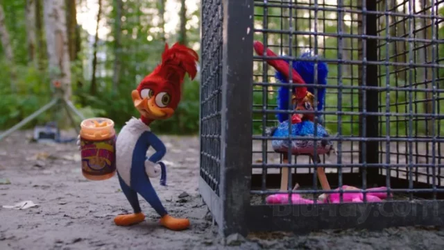 Where Was Woody Woodpecker Filmed? A Stunning 3D Live-Action Comedy Flick!