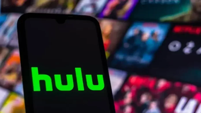 Crypto Movies You Can Watch On Hulu! Learn About The Secrets Of The Finance Industry!!